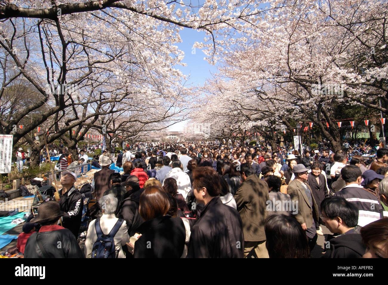 Understanding Seasonal Crowds and Weather Patterns for ⁣Optimal visits