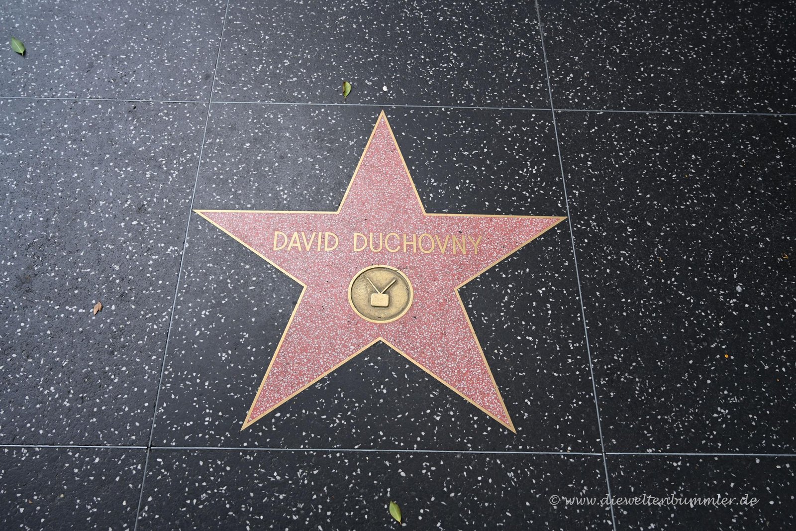 Explore the Iconic Hollywood Walk of Fame