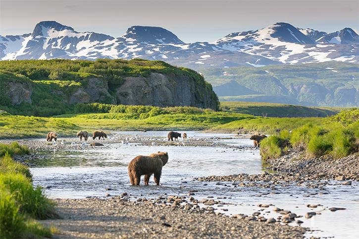 Natural marvels of Alaskas ⁢Wilderness to Discover