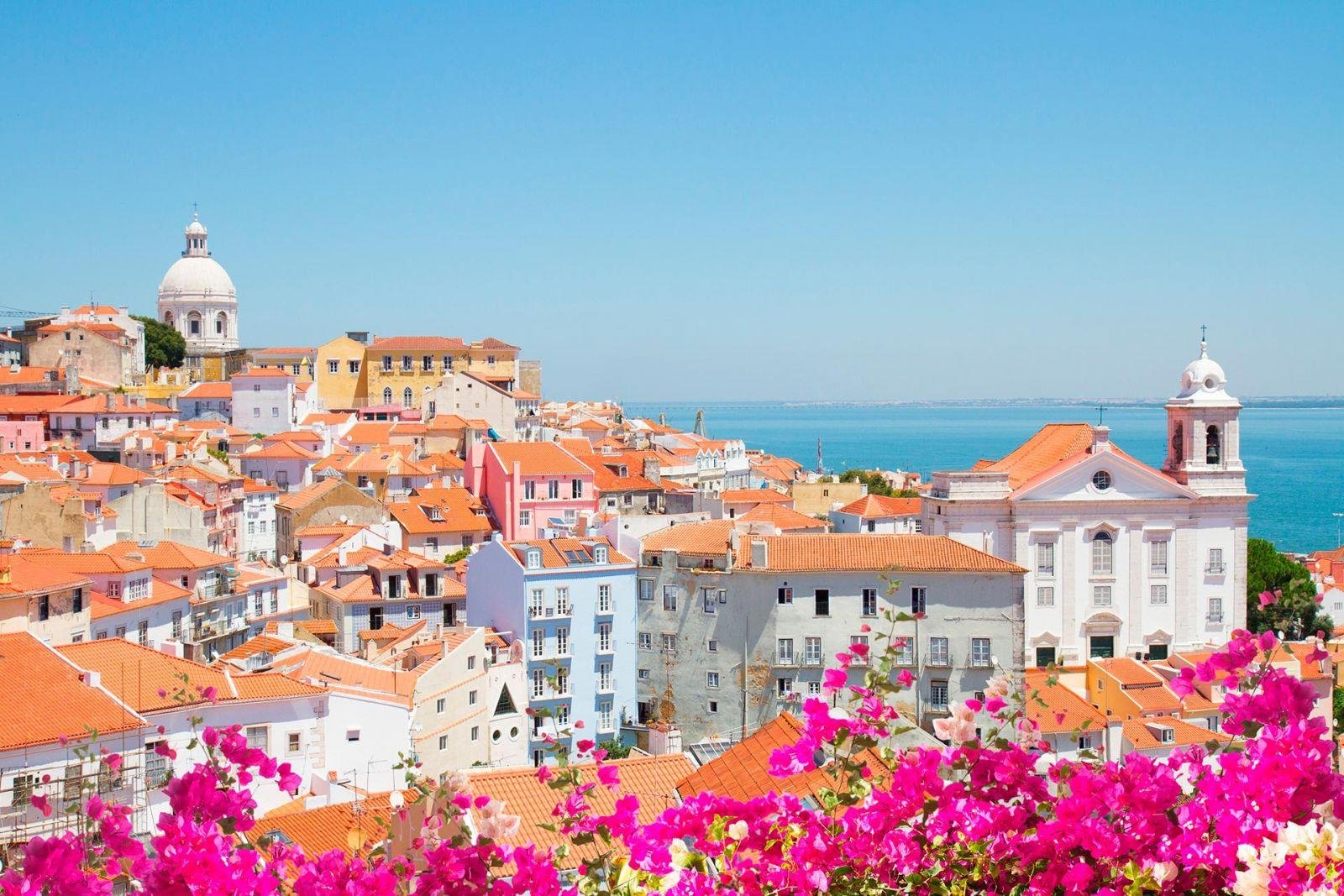The Allure of spring in Portugal: Embrace Blooming Landscapes and Cultural Festivities