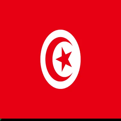 Tunus Flag