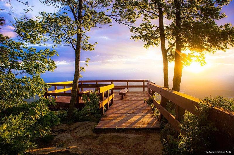 Discover the Blossoming Beauty of Georgias Scenic Parks in March