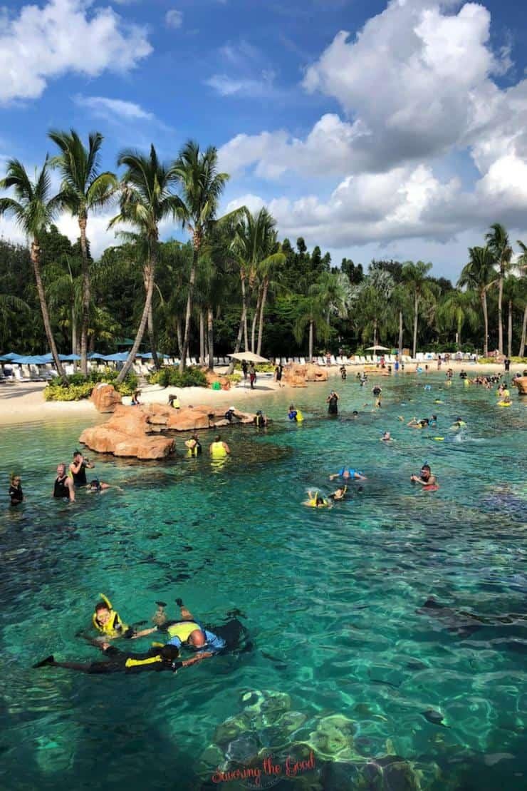 Understanding the Seasonal⁤ Appeal of Discovery Cove Orlando and Its Unique Experiences