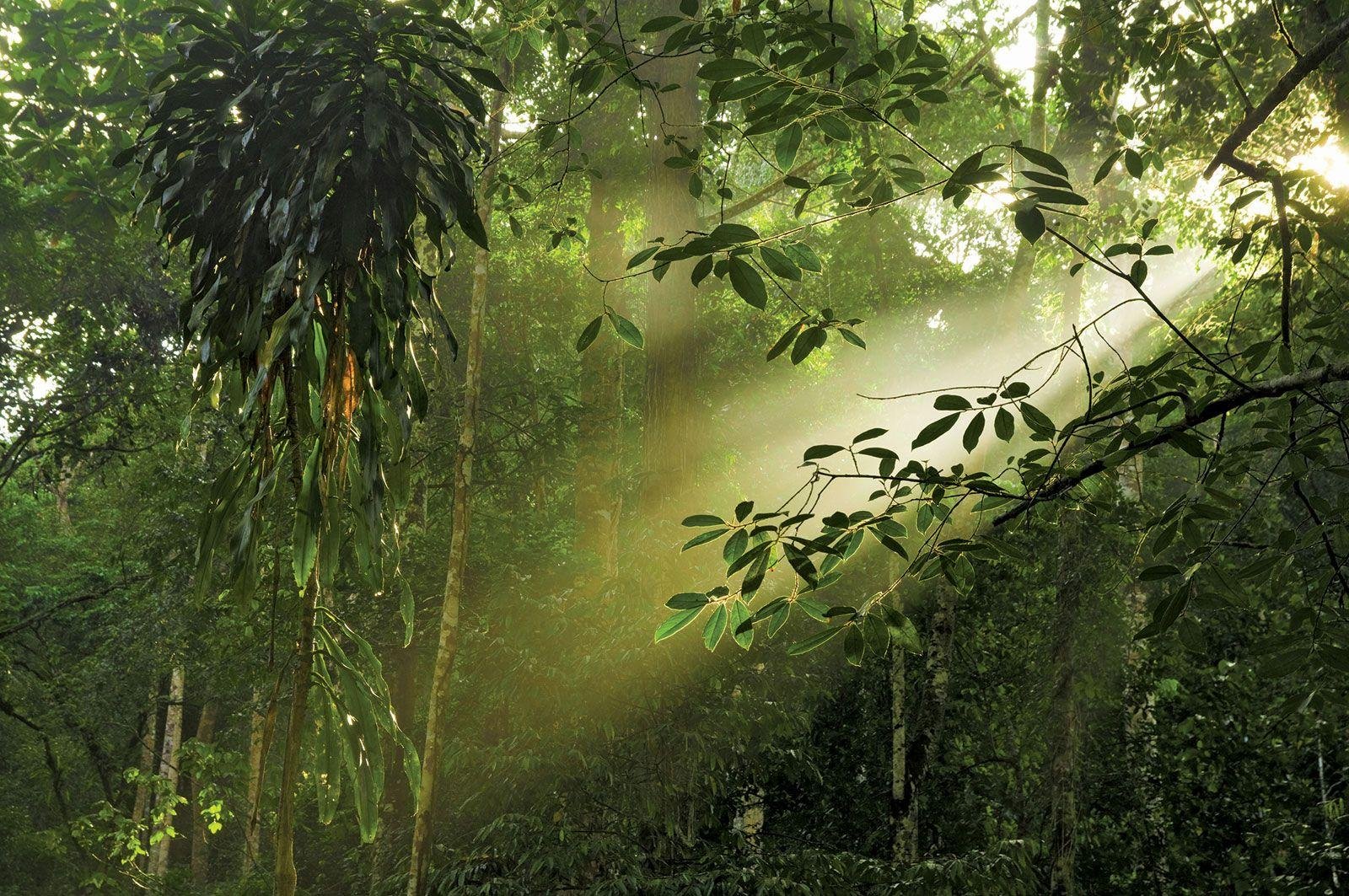 Understanding the Climate and Festivals for Optimal Travel experiences