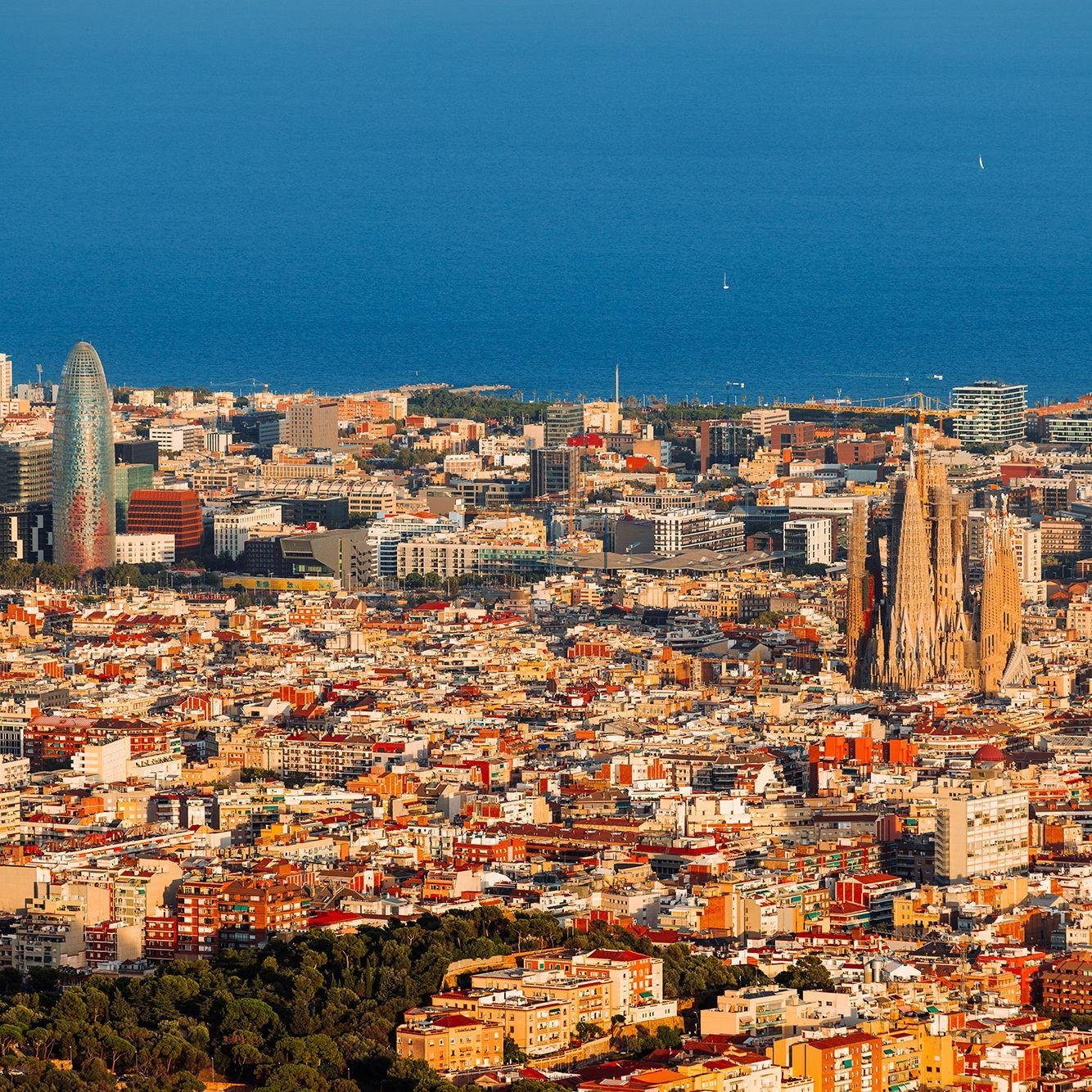 Exploring Barcelonas Vibrancy in Spring with Breathtaking Blossoms and Cultural Festivals