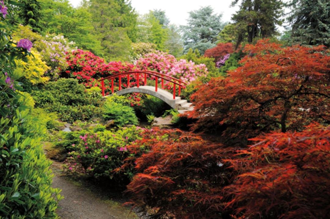 Exploring the Natural Beauty of Seattles Parks and Waterfront ‌in August