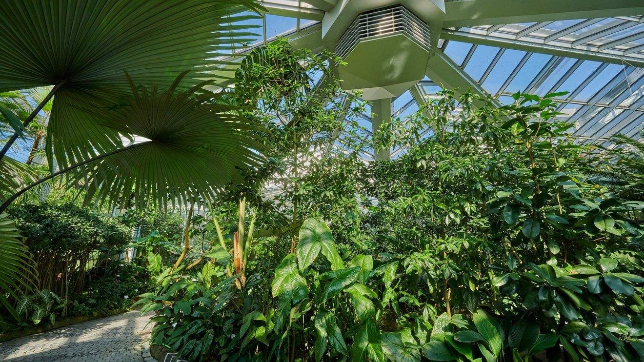 Discovering the Rich⁣ Diversity of Georgias Botanical ⁢Gardens
