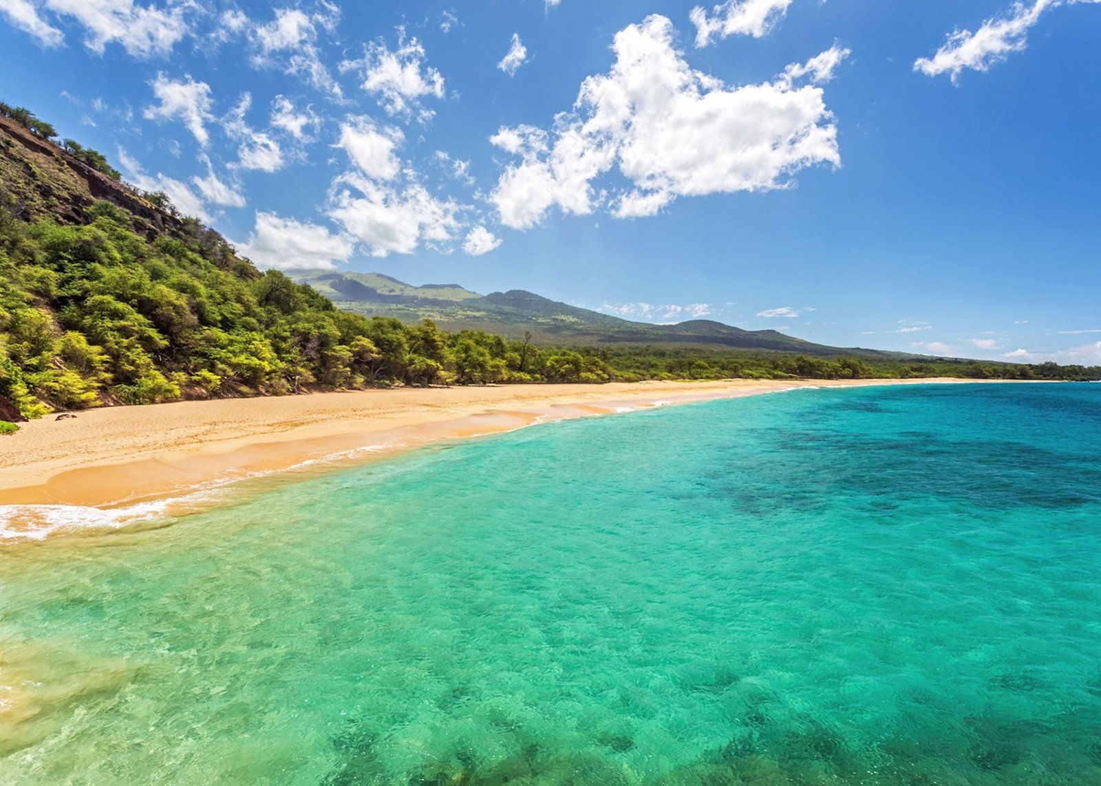 Understanding Hawaiis Weather Patterns and Peak Tourist Seasons
