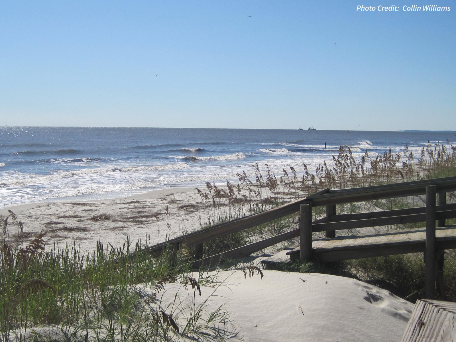 Discover the Charm of Coastal Georgia and Its Summer Delights