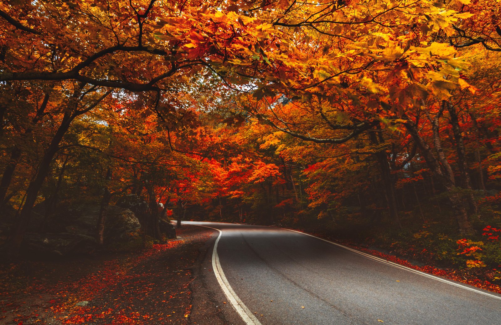 Experiencing ​the Vibrant Fall Foliage in North Georgia‍ Mountains