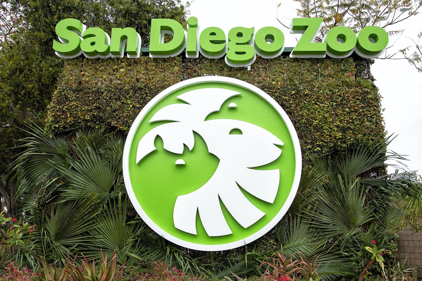 Ideal Seasons​ for Visiting ‍the San⁤ Diego Zoo