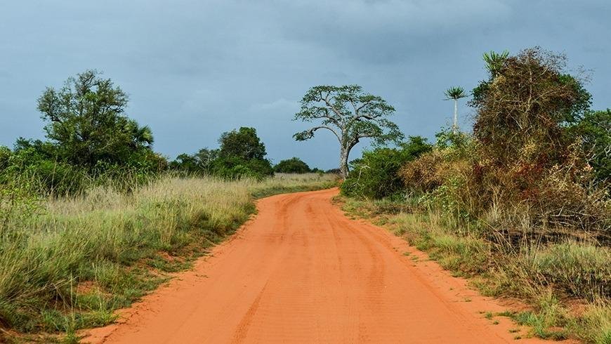 Exploring‍ the ‌Diverse Landscapes ⁤of ​Angolas ​National Parks