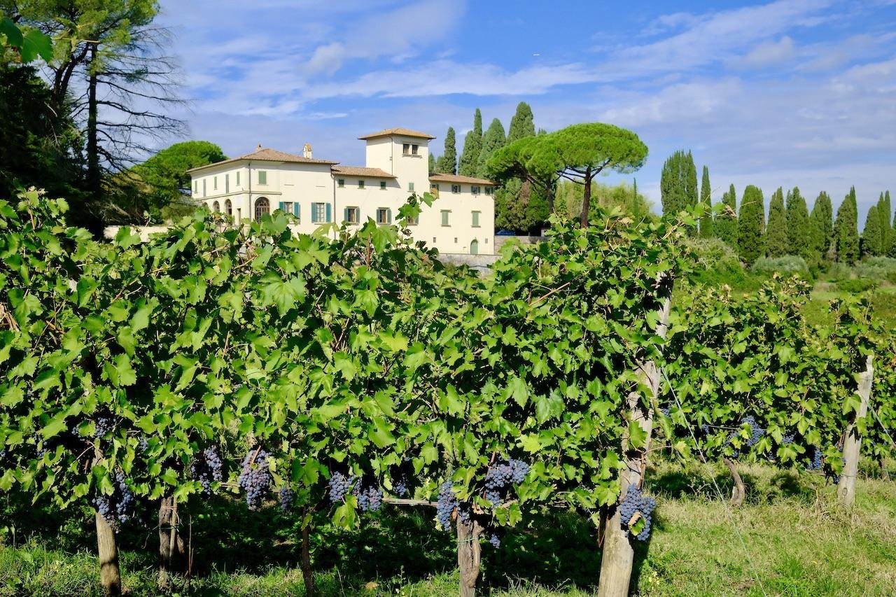 Discovering Enchanting Vineyards in the ‌Chianti Region