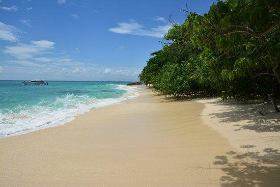 Exploring Untouched Beaches and Scenic Islands for a Perfect Getaway