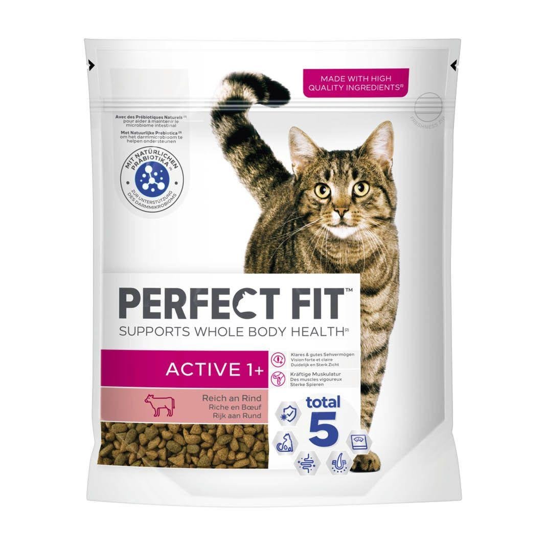 Finding the Perfect Fit for Every Budget and Preference