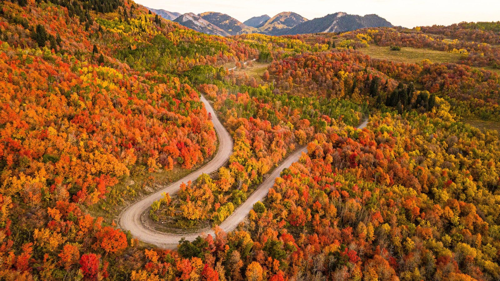 Exploring‌ the Vibrant Fall foliage and Festivals Across Georgia