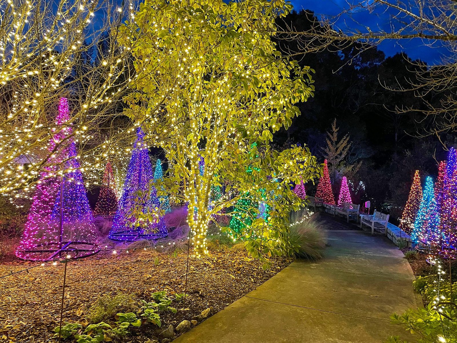 Exploring Georgias Winter Wonders: Scenic Destinations for February Adventures